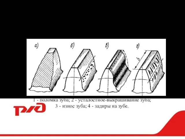 Неисправности зубчатой передачи электровоза 2/ЭС5К 1 - поломка зуба; 2 -