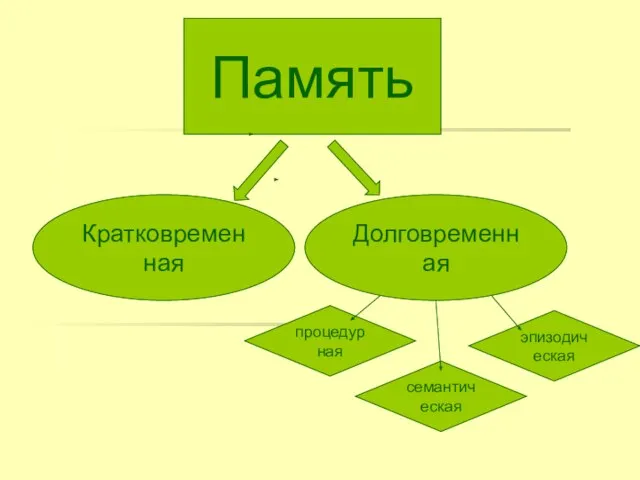 Память Долговременная Кратковременная процедурная семантическая эпизодическая