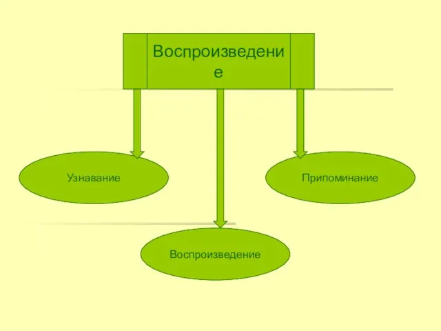 Воспроизведение Узнавание Воспроизведение Припоминание