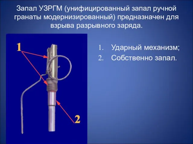 Запал УЗРГМ (унифицированный запал ручной гранаты модернизированный) предназначен для взрыва разрывного заряда. Ударный механизм; Собственно запал.