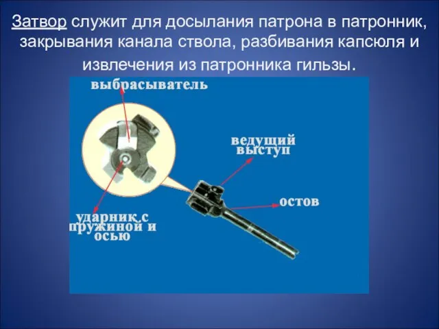 Затвор служит для досылания патрона в патронник, закрывания канала ствола, разбивания