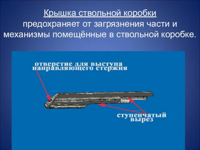 Крышка ствольной коробки предохраняет от загрязнения части и механизмы помещённые в ствольной коробке.