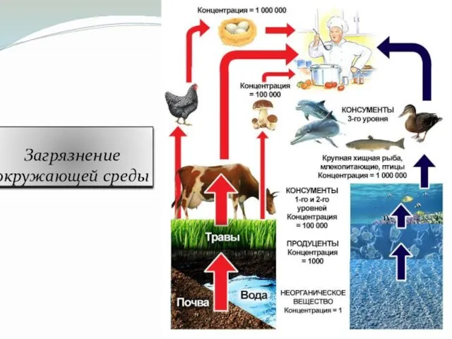 Загрязнение окружающей среды