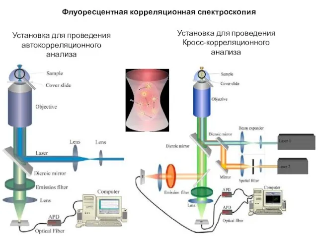 Флуоресцентная корреляционная спектроскопия Установка для проведения автокорреляционного анализа Установка для проведения Кросс-корреляционного анализа