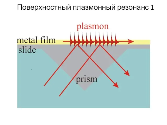 Поверхностный плазмонный резонанс 1
