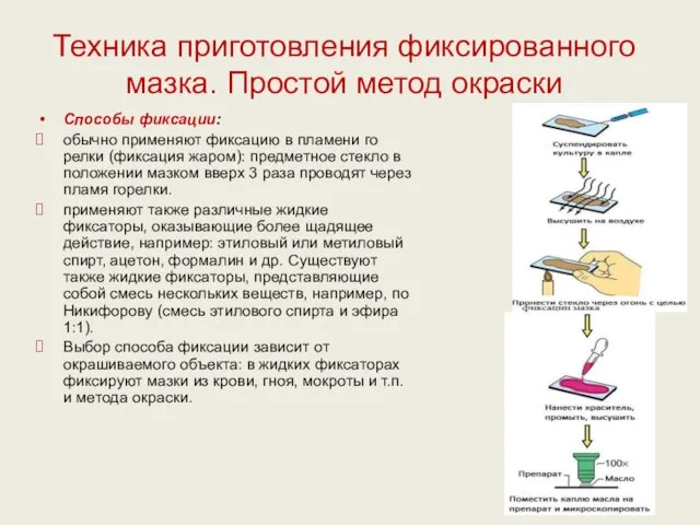 Техника приготовления фиксированного мазка. Простой метод окраски Способы фиксации: обычно применяют