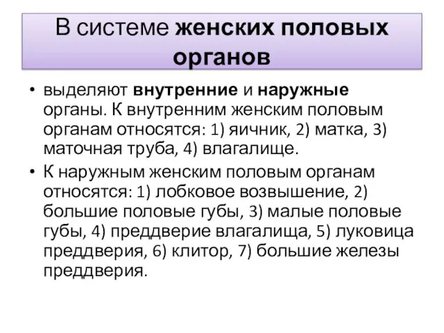 В системе женских половых органов выделяют внутренние и наружные органы. К