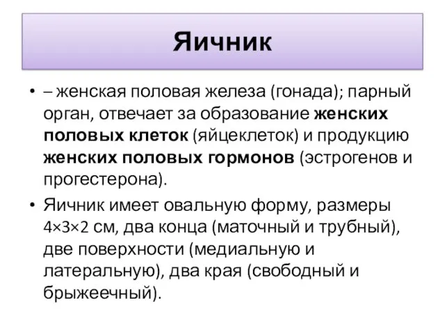 Яичник – женская половая железа (гонада); парный орган, отвечает за образование