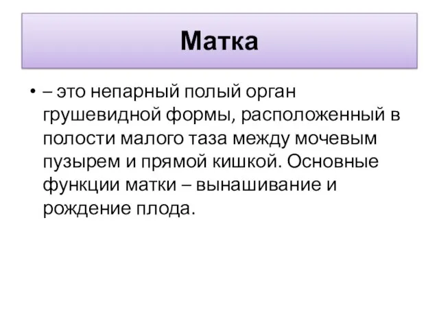 Матка – это непарный полый орган грушевидной формы, расположенный в полости