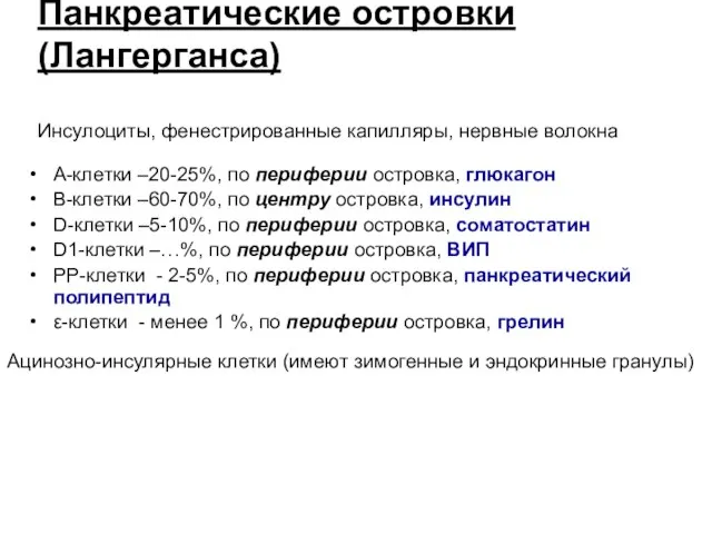 Панкреатические островки (Лангерганса) А-клетки –20-25%, по периферии островка, глюкагон В-клетки –60-70%,