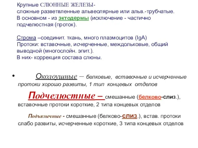 Крупные СЛЮННЫЕ ЖЕЛЕЗЫ- сложные разветвленные альвеолярные или альв.-трубчатые. В основном -