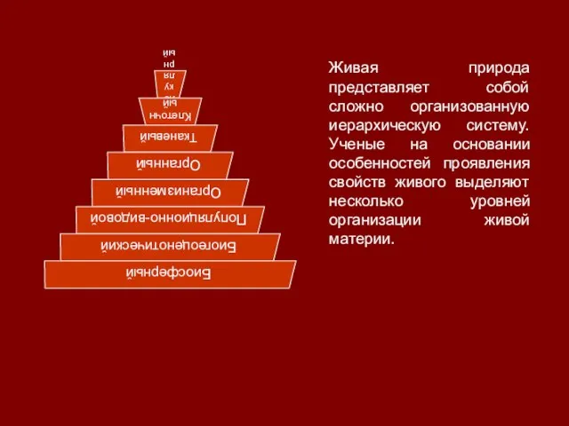 Живая природа представляет собой сложно организованную иерархическую систему. Ученые на основании