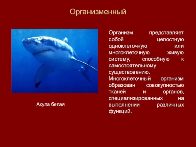 Организменный Организм представляет собой целостную одноклеточную или многоклеточную живую систему, способную