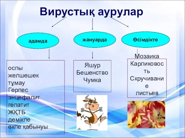 Вирустық аурулар адамда жануарда Өсімдікте оспы желшешек тұмау Герпес энцефалит гепатит