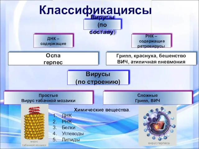 Классификациясы Химические вещества. ДНК РНК Белки Углеводы Липиды