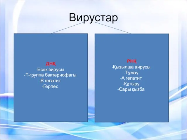 Вирустар ДНҚ Есек вирусы Т-группа бактериофагы В гепатит Герпес РНҚ Қызылша