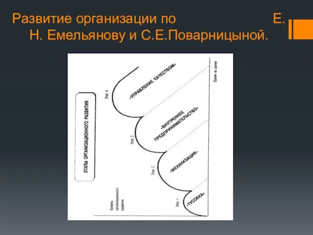 Развитие организации по Е.Н. Емельянову и С.Е.Поварницыной.