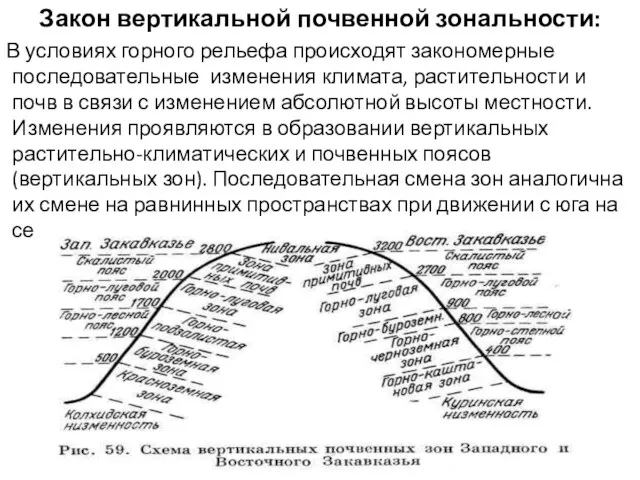 Закон вертикальной почвенной зональности: В условиях горного рельефа происходят закономерные последовательные