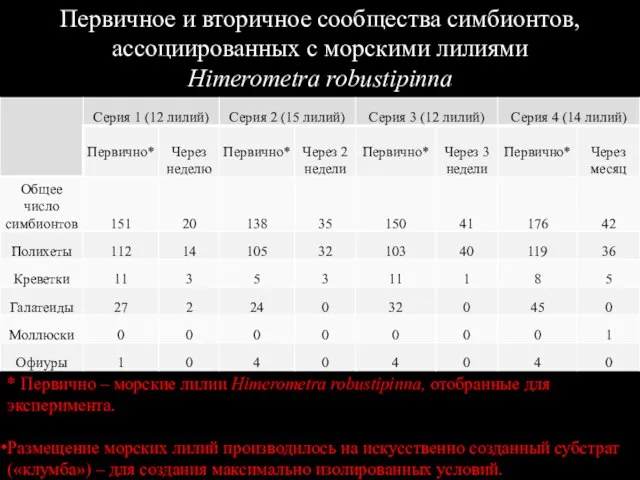 Первичное и вторичное сообщества симбионтов, ассоциированных с морскими лилиями Himerometra robustipinna