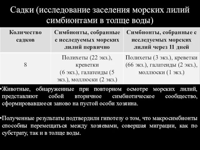 Садки (исследование заселения морских лилий симбионтами в толще воды) Животные, обнаруженные