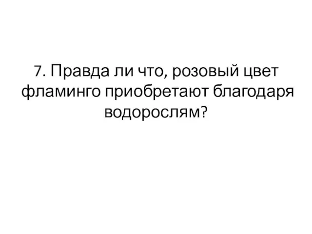 7. Правда ли что, розовый цвет фламинго приобретают благодаря водорослям?