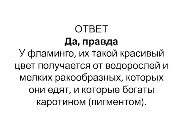 ОТВЕТ Да, правда У фламинго, их такой красивый цвет получается от