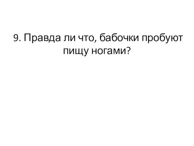 9. Правда ли что, бабочки пробуют пищу ногами?