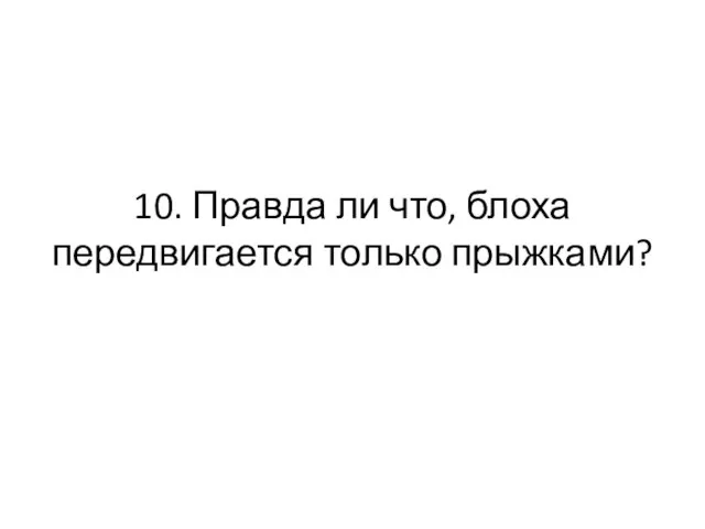 10. Правда ли что, блоха передвигается только прыжками?