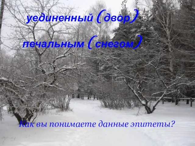 Как вы понимаете данные эпитеты? уединенный (двор) печальным (снегом)