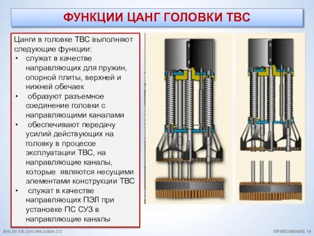 ФУНКЦИИ ЦАНГ ГОЛОВКИ ТВС Цанги в головке ТВС выполняют следующие функции: