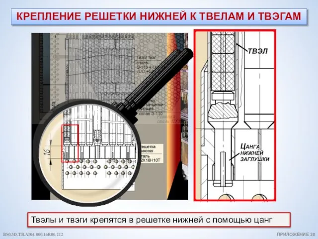 КРЕПЛЕНИЕ РЕШЕТКИ НИЖНЕЙ К ТВЕЛАМ И ТВЭГАМ Твэлы и твэги крепятся