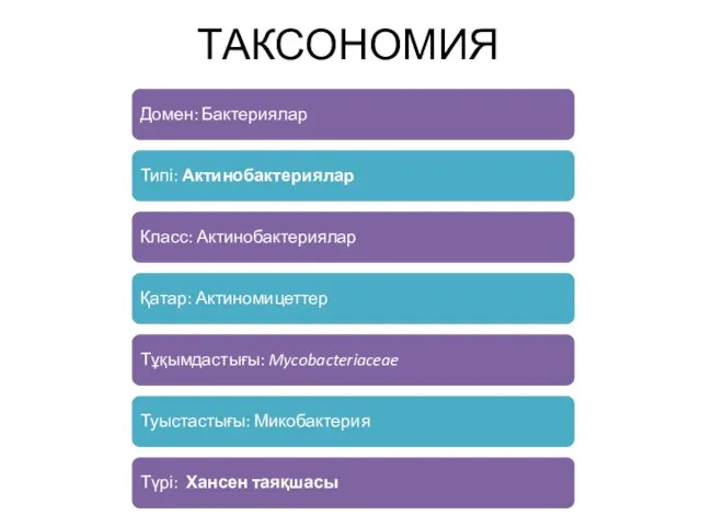 ТАКСОНОМИЯ Домен: Бактериялар Типі: Актинобактериялар Класс: Актинобактериялар Қатар: Актиномицеттер Тұқымдастығы: Mycobacteriaceae Туыстастығы: Микобактерия Түрі: Хансен таяқшасы