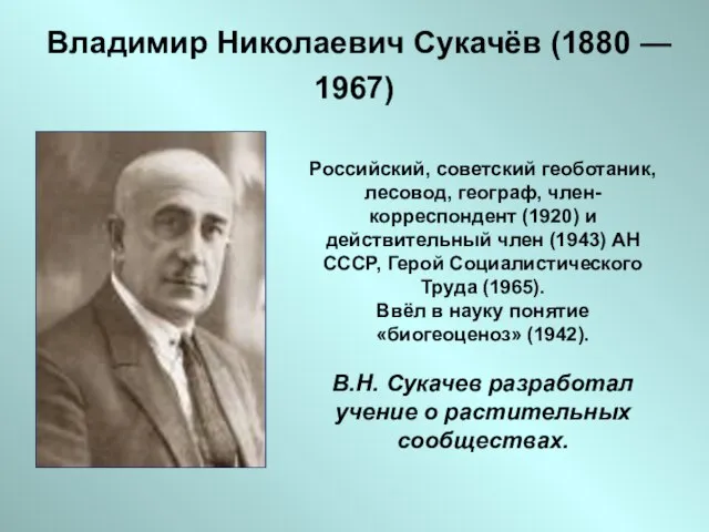 Владимир Николаевич Сукачёв (1880 — 1967) Российский, советский геоботаник, лесовод, географ,