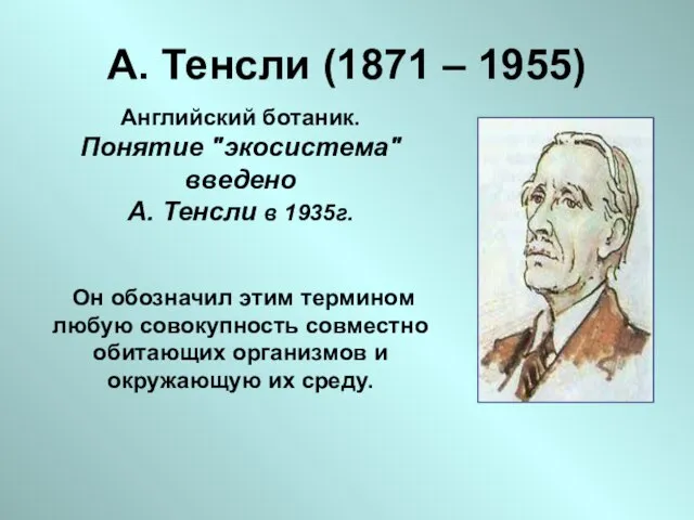 А. Тенсли (1871 – 1955) Английский ботаник. Понятие "экосистема" введено А.