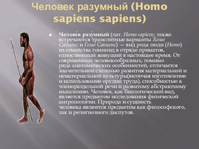 Человек разумный (Homo sapiens sapiens) Челове́к разу́мный (лат. Homo sapiens; также