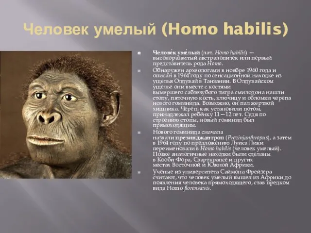 Человек умелый (Homo habilis) Челове́к уме́лый (лат. Homo habilis) — высокоразвитый