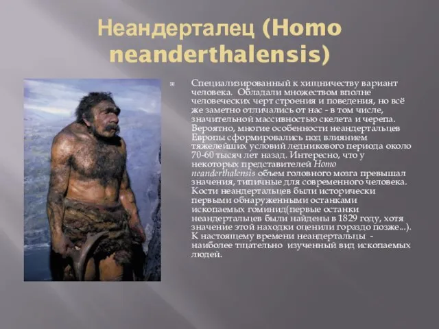 Неандерталец (Homo neanderthalensis) Специализированный к хищничеству вариант человека. Обладали множеством вполне