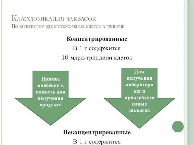 Классификация заквасок По количеству жизнеспосорбных клеток в единице Концентрированные В 1