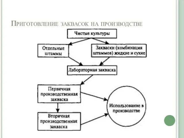 Приготовление заквасок на производстве