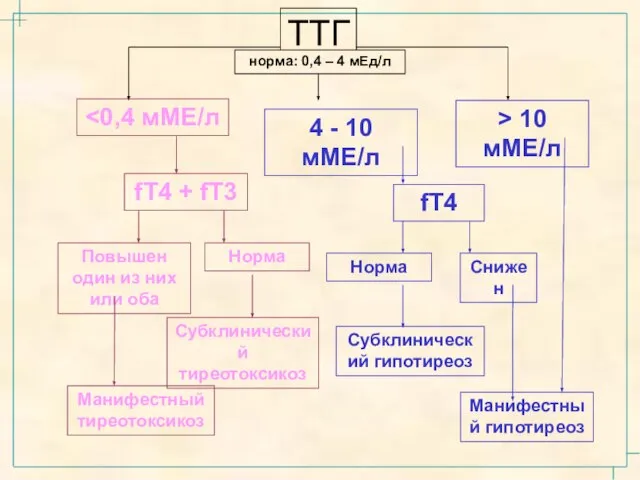 ТТГ норма: 0,4 – 4 мЕд/л