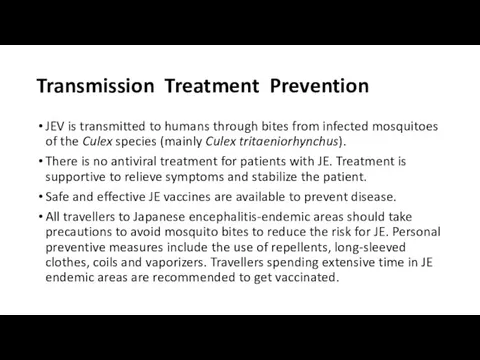 Transmission Treatment Prevention JEV is transmitted to humans through bites from