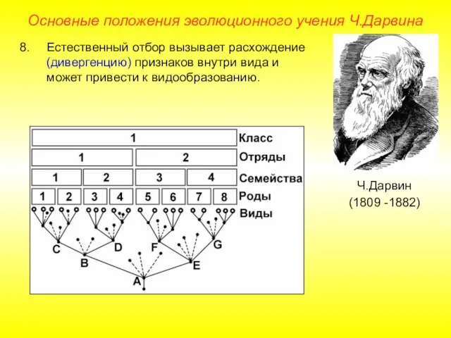 Основные положения эволюционного учения Ч.Дарвина Ч.Дарвин (1809 -1882) Естественный отбор вызывает