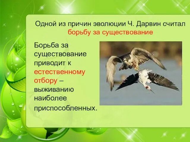 Одной из причин эволюции Ч. Дарвин считал борьбу за существование Борьба