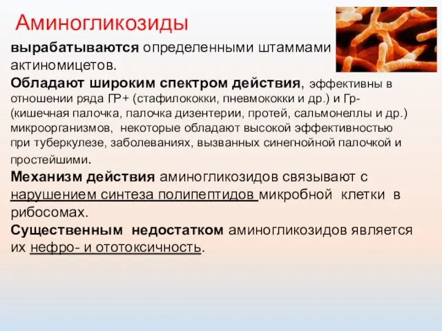 Аминогликозиды вырабатываются определенными штаммами актиномицетов. Обладают широким спек­тром действия, эффективны в