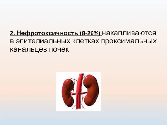 2. Нефротоксичность (8-26%) накапливаются в эпителиальных клетках проксимальных канальцев почек