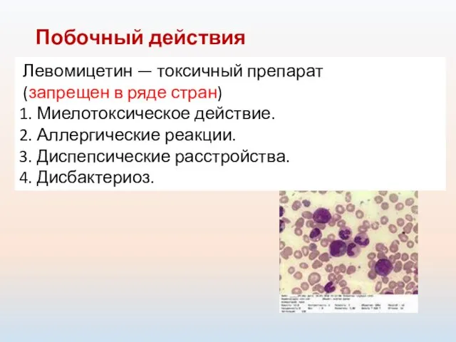 Побочный действия Левомицетин — токсичный препарат (запрещен в ряде стран) 1.