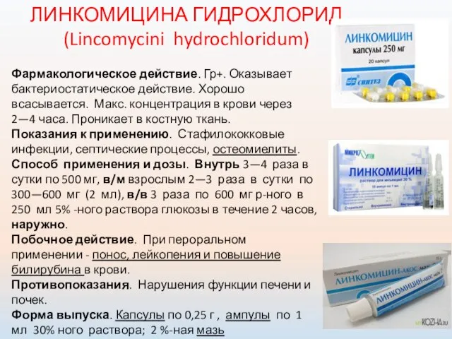 ЛИНКОМИЦИНА ГИДРОХЛОРИД (Lincomycini hydrochloridum) Фармакологическое действие. Гр+. Оказывает бактериостатическое действие. Хорошо