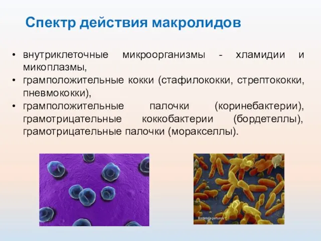 Спектр действия макролидов внутриклеточные микроорганизмы - хламидии и микоплазмы, грамположительные кокки