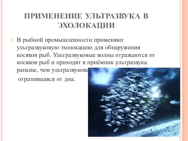 ПРИМЕНЕНИЕ УЛЬТРАЗВУКА В ЭХОЛОКАЦИИ В рыбной промышленности применяют ультразвуковую эхолокацию для