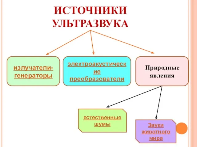 ИСТОЧНИКИ УЛЬТРАЗВУКА излучатели-генераторы электроакустические преобразователи Природные явления естественные шумы Звуки животного мира